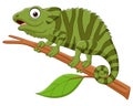 Cartoon green chameleon on tree branch Royalty Free Stock Photo