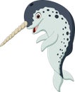 Cartoon narwhal isolated on white background