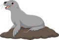 Cartoon funny seal on white background