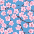 Blooming cherry on blue seamless pattern. Vector illustration of branches and pink sakura flowers Royalty Free Stock Photo