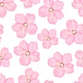 Sakura flowers seamless pattern. Pink blossoming cherry isolated on white background. Vector spring floral illustration. Royalty Free Stock Photo