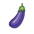 Eggplant Vegetable Vector Icon Logo