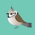 An illustration of a cute crested tit. Green background