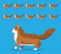 Animal Animation Sequence Cat Siberian Cartoon Vector