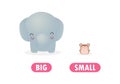 Opposite big and small Words antonym for children with cartoon characters cute little rat with elephant, funny animal Flat vector Royalty Free Stock Photo