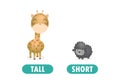 Opposite tall and short, Words antonym for children with cartoon characters cute little sheep with giraffe, funny animal Flat Royalty Free Stock Photo