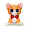 Cute kitten cartoon wearing red glasses and bow