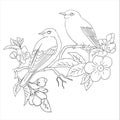 two litle birds and flower coloring page