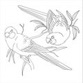 two parrot birds and flower coloring page