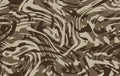 Camo texture for army clothing. Zebra stylish safari camo background. Vector camouflaging seamless pattern. Royalty Free Stock Photo