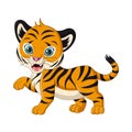 Cute baby tiger cartoon on white background Royalty Free Stock Photo