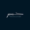 Initial Letter PN Logo - Handwritten Signature Logo