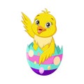 Cartoon baby chick inside a cracked Easter egg Royalty Free Stock Photo