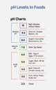 PH Levels in foods- water, ph levels, food ph scale, Vector Eps 10