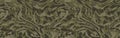 Camouflage seamless pattern. Camo background, curved wavy stripped. Military print for design, wallpaper, textile. Vector i