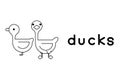 Outlined cute cartoon ducks. Vector illustration.