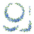 Set of vector frames with spring flowers. Collection of borders with blue flowers of different colors for your design.