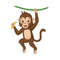 Cute baby monkey hanging on tree branch. Monkey Holding Banana Royalty Free Stock Photo