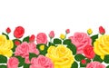 Yellow, pink and red roses seamless border. Vector cartoon flat  Ã¢â¬â¹illustration of beautiful blooming flowers Royalty Free Stock Photo