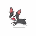 Vector cartoon character happy boston terrier dog running