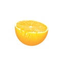 Half orange slice