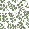 Seamless Eucalyptus Leaves Pattern, Aromatherapy Leaves Illustration, Vector Illustration EPS 10.