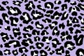 Leopard spotted fur texture. Vector repeating seamless pattern cheetah lilac, purple, black and white Royalty Free Stock Photo