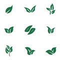 collection of nine foliage vector models