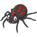 Cartoon funny spider on white background