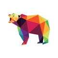 Colorful Roared Bear Polygonal low poly logo icon Royalty Free Stock Photo