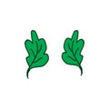 Green leaf with branch vector illustration on white background. green outline, hand drawn vector. two beautiful leaf. foliage icon Royalty Free Stock Photo