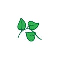 Beautiful green leaf on white background. shape of heart leaf. houseplant icon. hand drawn vector. doodle art for logo, label, cli Royalty Free Stock Photo