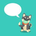 Cartoon character shiba inu dog wearing protective face mask with speech bubble