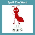 Spelling Word Scramble Game Template ant .Perfect for Kids Activity