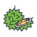 A durian filled-outline flat icon. Smelly fruit from Southeast Asia.