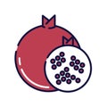 Pomegranate filled-outline flat icon