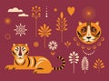Tiger illustration and decor floral design elements set. Royalty Free Stock Photo