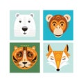 Animal faces. Vector illustrations. Animal portraits. Royalty Free Stock Photo