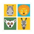 Zoo collection. Hippo, lion, lemur and zebra. Royalty Free Stock Photo