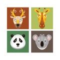 Deer, panda, giraffe and koala Royalty Free Stock Photo