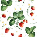 Watercolor Summer collection with leaves,strawberry,flowers,branches Royalty Free Stock Photo