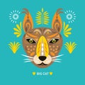 Big cat, lynx. Wildcat. Stylized face or mask of lynx, vector illustration