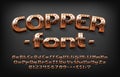 Copper alphabet font. Messy steampunk 3D letters, numbers and symbols. Royalty Free Stock Photo