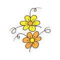 Beautiful yellow and orange flowers illustration on white background. closeup flower, nature and freshness. hand drawn vector. doo Royalty Free Stock Photo