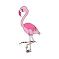 Beautiful pink flamingo illustration on white background. hand drawn vector. cute and beauty bird. doodle art for kids, logo, labe Royalty Free Stock Photo