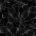 Dogwood branch with flowers seamless pattern. Cornus florida. Line drawing. Black background.