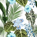 Floral seamless pattern, Alocasia plant, palm leaves and blue tropical flowers on white background. Royalty Free Stock Photo
