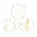 Feminine logo design templates in trendy linear minimal style. Wild herbs. Emblem, symbols and icons for cosmetics. Royalty Free Stock Photo