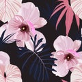 Seamless floral pattern with pink tropical magnolia flowers and blue palm leaves on black background. Royalty Free Stock Photo