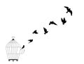 Flying birds silhouettes from bird cage isolated on white background Royalty Free Stock Photo